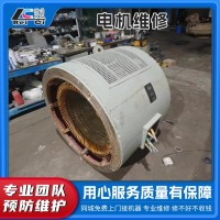 工业电机维修 直流电机维修安装 雷磁 支持上门服务